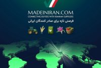 فرصت طلایی برای تجار ایرانی؛ معرفی رایگان محصولات در Madeiniran.com